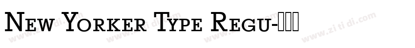 New Yorker Type Regu字体转换